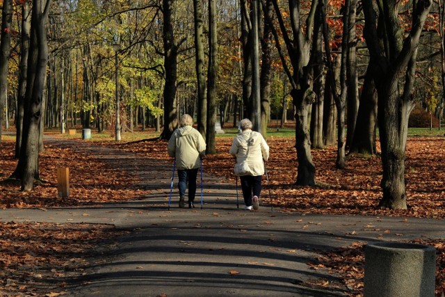 Nadciąga afrykańskie powietrze. Zapowiada się ciepły weekend