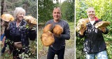 Śląskie: Wow! Te grzyby są gigantyczne! Nasi czytelnicy pochwalili się imponującymi zbiorami! Musicie to zobaczyć