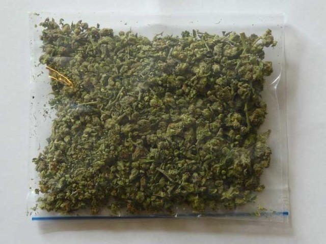 Na zdjęciu: Zabezpieczona marihuana przez koszalińskich policjantów.