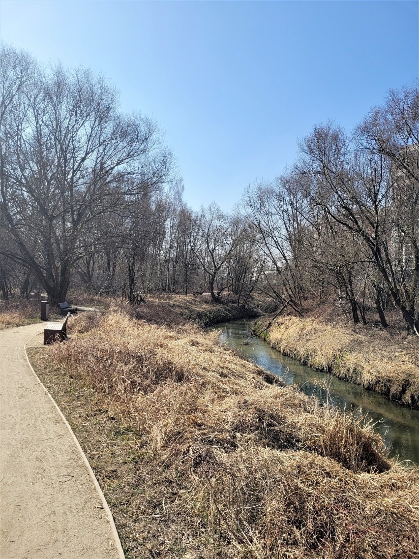 Park Rzeczny Wilga