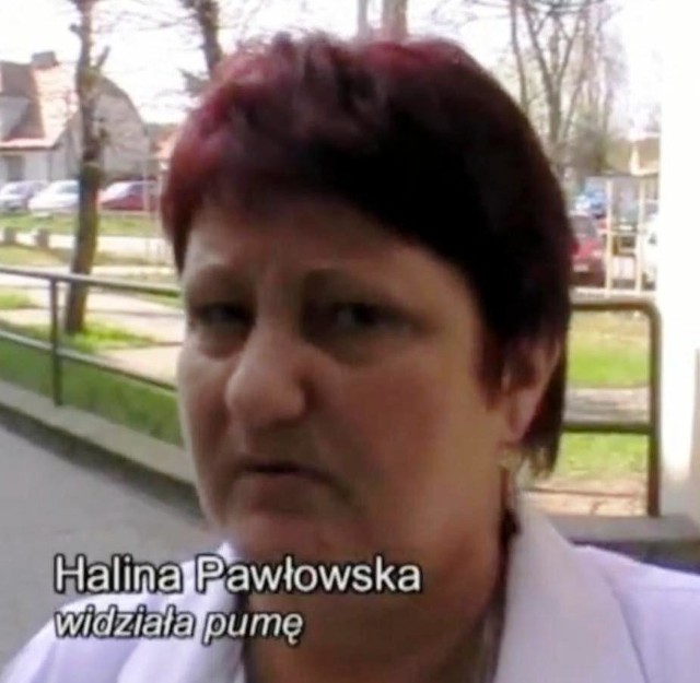 Halina Pawłowska widziała dużego kota 15 kwietnia.