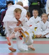 Judo > Turniej im. Ewy Larysy Krause w Dąbrowie