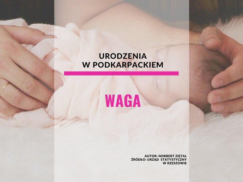 WAGA...