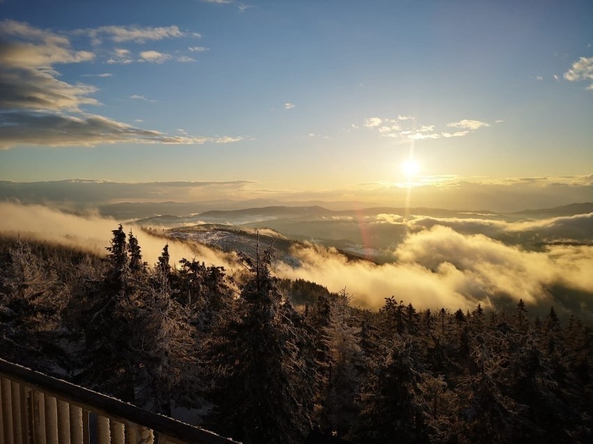 Wieża widokowa na Baraniej Górze (Beskid Śląski)...