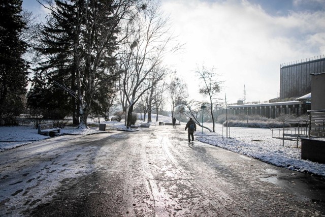Zima opanowała Białystok. Parki, ulice i drzewa pokryły się białym puchem. Zrobiło się bajecznie!