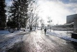 Zima opanowała Białystok. Parki, ulice i drzewa pokryły się białym puchem. Zrobiło się bajecznie! [ZDJĘCIA]