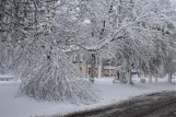 Atak zimy 19.4.2017 w Częstochowie: Zajęcia odwołane. Fatalne warunki na drogach regionu ZDJĘCIA