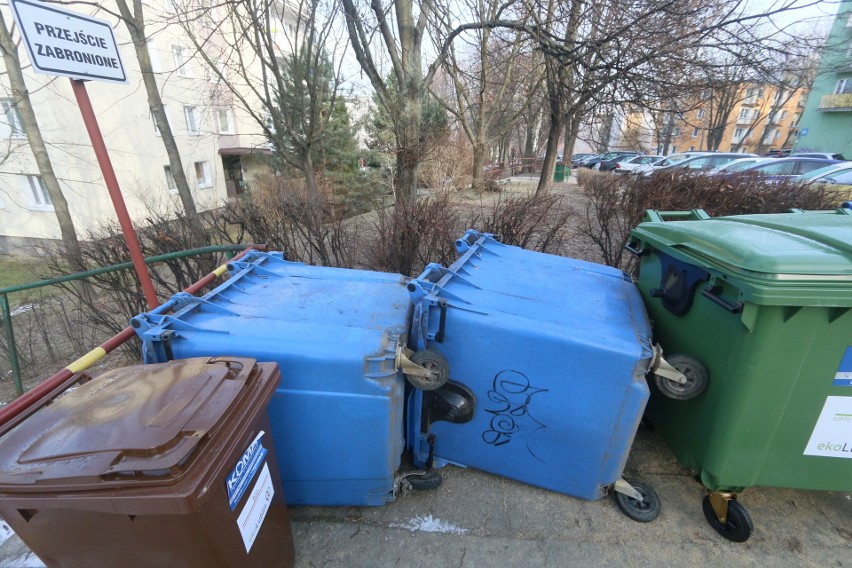 Lublin: Selektywna zbiórka odpadów ciągle z problemami. Śmieci zalegają na posesjach, bo jest za mało pojemników