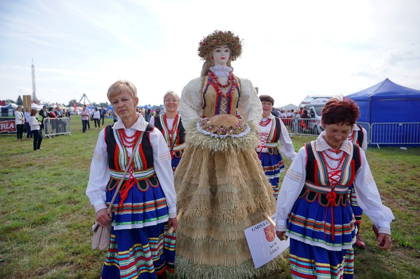 Lubelskie dożynki wojewódzkie 2020 w cieniu pandemii. Ograniczenia i brak koncertów