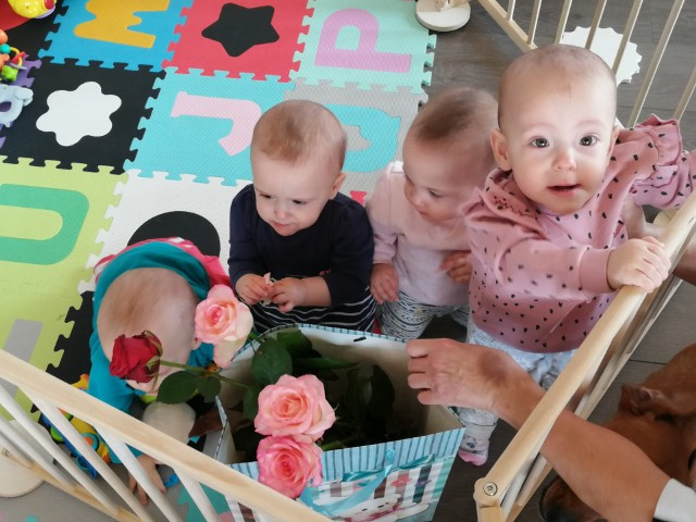 Czworaczki: Dominik, Weronika, Marcelinka i Olga, których rodzicami są bydgoscy psychologowie Anna i Remigiusz Kocowie, 3 marca skończyły roczek. Dzieci mają też starszą siostrę 4-letnią Tosię.
