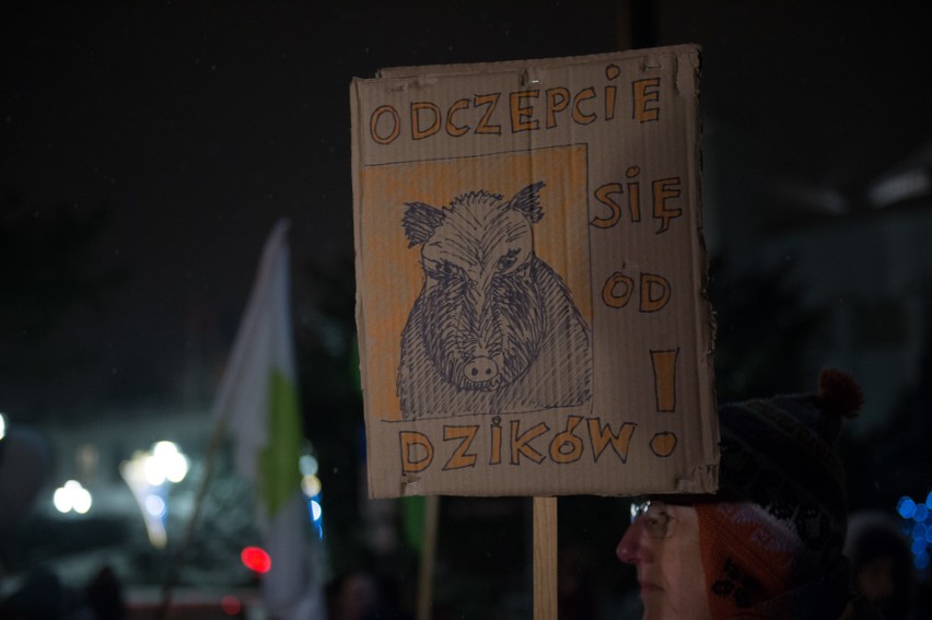 Protest przeciw odstrzałowi dzików pod Sejmem (9/01/2019)