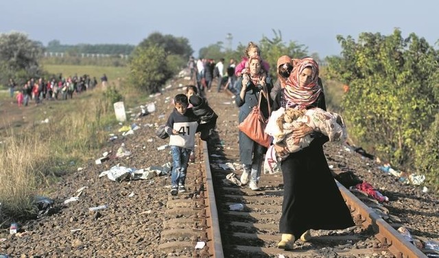 Jak informuje Ministerstwo Spraw Wewnętrznych, do Polski w sumie ma trafić około 6500 - 6800 uchodźców, głównie obywateli Syrii i Erytrei. Pierwsi z nich zostaną przyjęci w 2016 roku