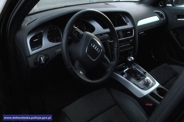 Trzy samochody marki Audi warte 360 tys. zł znalezione w dziupli (FILM, FOTO)
