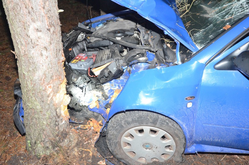 Golczowice. Auto uderzyło w drzewo. Kierowca trafił do szpitala