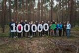 Pracownicy Volkswagen Poznań posadzili już 100 000 drzew