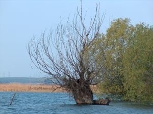 Jeśli woda zalała uprawy, trzeba będzie oszacować straty