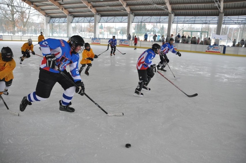 ROLA Radom uczestniczyła w pikniku hokeja na lodzie w Skarżysku. Zaprasza dzieci i młodzież do gry