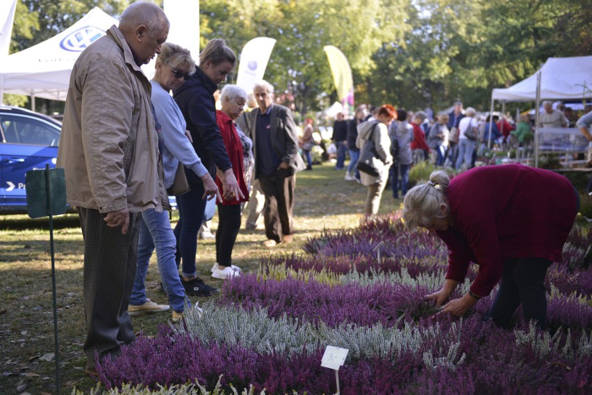 W Słupsku trwają Targi Ogrodnicze Jesień 2018 (zdjęcia)