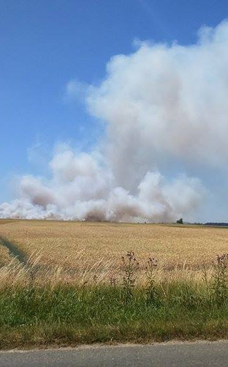 Duży pożar pod Oławą gasiło 14 zastępów straży pożarnej. Dym widać było spod Wrocławia (FOTO)