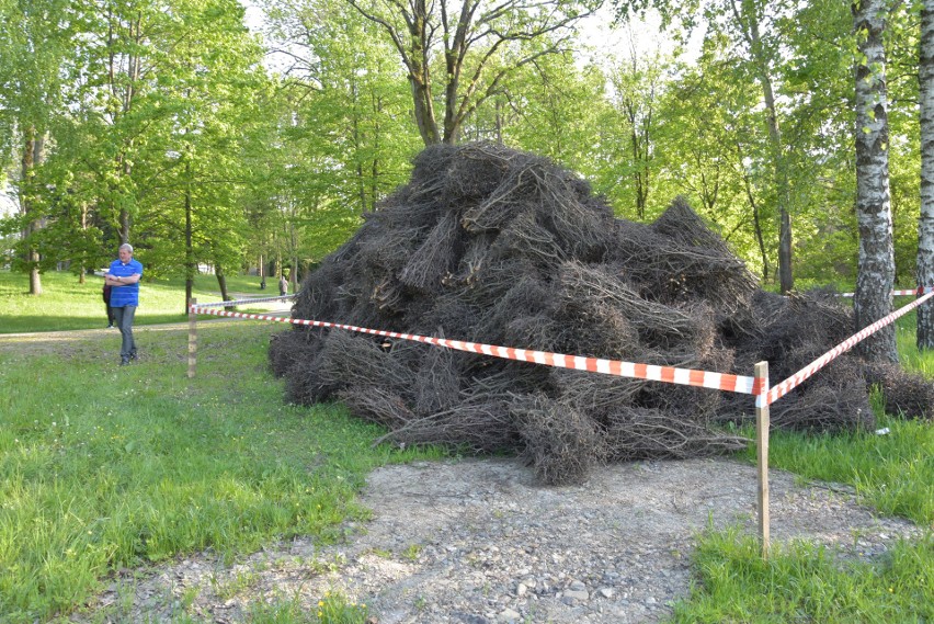 Tężnia to budowla z drewna i gałęzi tarniny służąca do...