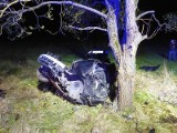 Klejniki: Wypadek śmiertelny. BMW uderzyło w drzewo, kierowca zginął na miejscu (zdjęcia)