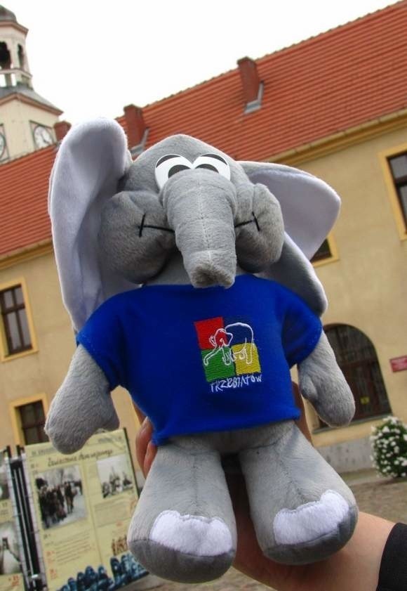 Na pamiątkę tego wyjątkowego dnia otrzyma od pracowników Urzędu Miasta oficjalny dyplom, pieczątkę urzędową z własnym imieniem i nazwiskiem oraz znaną w całej Polsce pluszową maskotę trzebiatowskiego słonia.