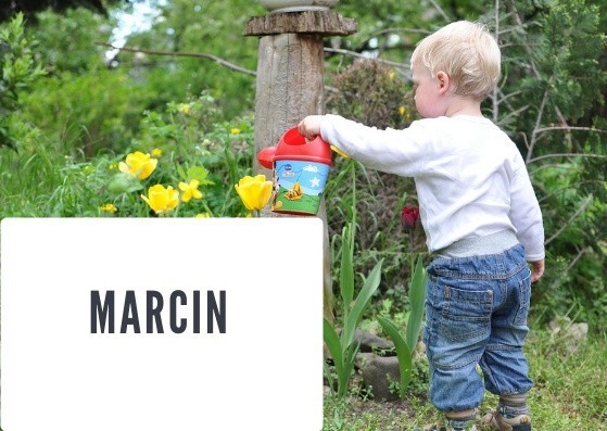 MARCIN - jesienne astry zwane są marcinkami.