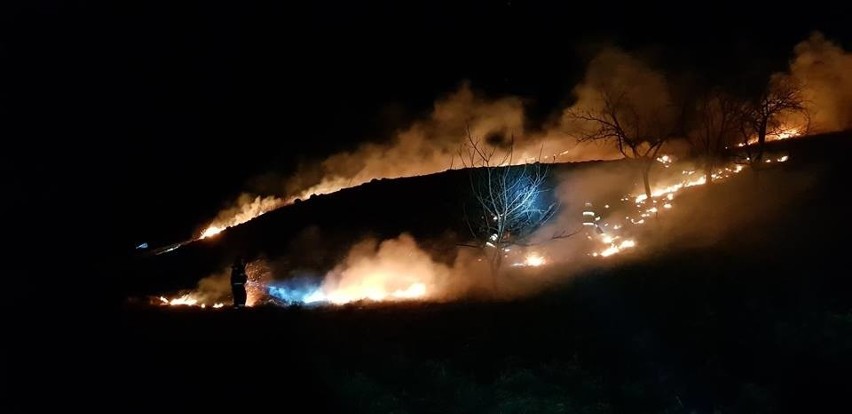 Sądecczyzna. Cztery pożary traw w ciągu jednej doby