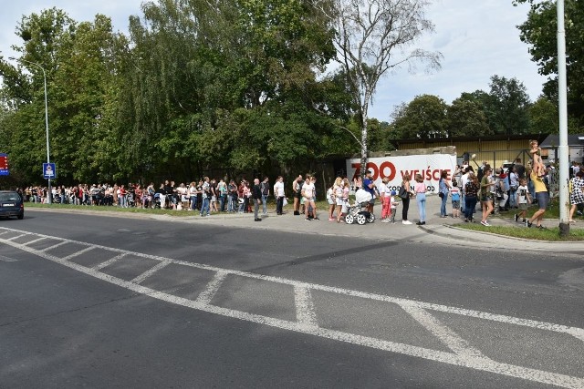 Długa kolejka do łódzkiego zoo.O tym czy łodzianom przypadł do gustu „Extra weekend” darmowych (lub płatnych symboliczną złotówkę) atrakcji za wysoką frekwencję w wyborach prezydenckich najlepiej świadczy stumetrowa kolejka, która tuż po południu uformowała się w sobotę przed kasą Ogrodu Zoologicznego.- Nie spodziewałam się aż tak długiej kolejki - powiedziała zaskoczona pani Joanna, która wraz z córką stanęła na końcu ogonka kończącego się przy zbiegu ul. Krzemienieckiej z ul. Konstantynowską. - No nic, skoro już przyszłyśmy, zobaczymy, jak to się będzie posuwać.ZDJĘCIA I WIĘCEJ INFORMACJI - KLIKNIJ DALEJ