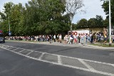 Ogromna kolejka do łódzkiego zoo! „Extra weekend” miejskich atrakcji za wysoką frekwencję wyborczą w Łodzi