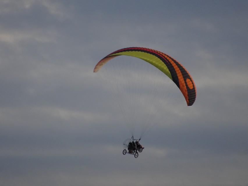 "Dzicy" motoparalotniarze nad Toruniem - łamią przepisy i płoszą ptaki  