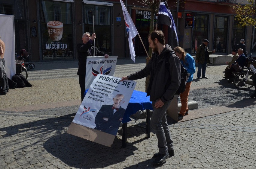 Politycy w centrum Wrocławia. Zieloni, Nowa Prawica i PO stolik w stolik (ZDJĘCIA)