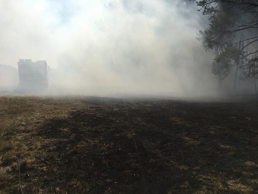 Pożary lasu, traw i płonące opony gasili strażacy ochotnicy z Krasocina (ZDJĘCIA)