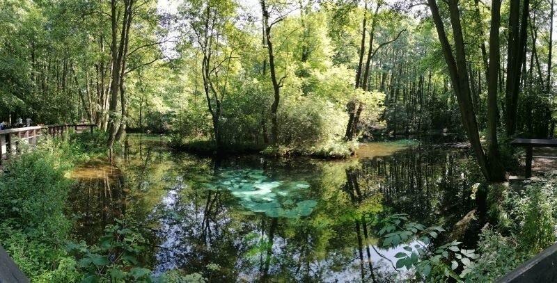 To rezerwat przyrody położony w dolinie Pilicy i idealne...