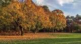 Pogoda na 1 listopada. Jaka pogoda we Wszystkich Świętych i Dzień Zaduszny? 