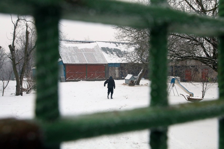 Święta według amiszów spod Janowa Lubelskiego. Bez choinki i prezentów