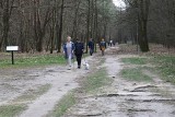 Świąteczne spacery na kieleckim Stadionie. Wspaniała pogoda rozpieszcza mieszkańców. Zobacz zdjęcia