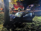 Groźny wypadek w miejscowości Kłecko-Kolonia. Samochód uderzył w przydrożne drzewo. Jedna osoba trafiła do szpitala