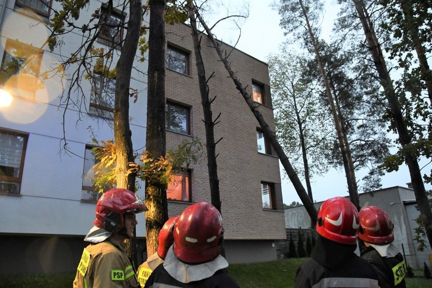 Potężne drzewo spadło na apartamentowiec w Dąbrowie! Wichura nad powiatem kieleckim i potężne straty - RAPORT (WIDEO, ZDJĘCIA) 