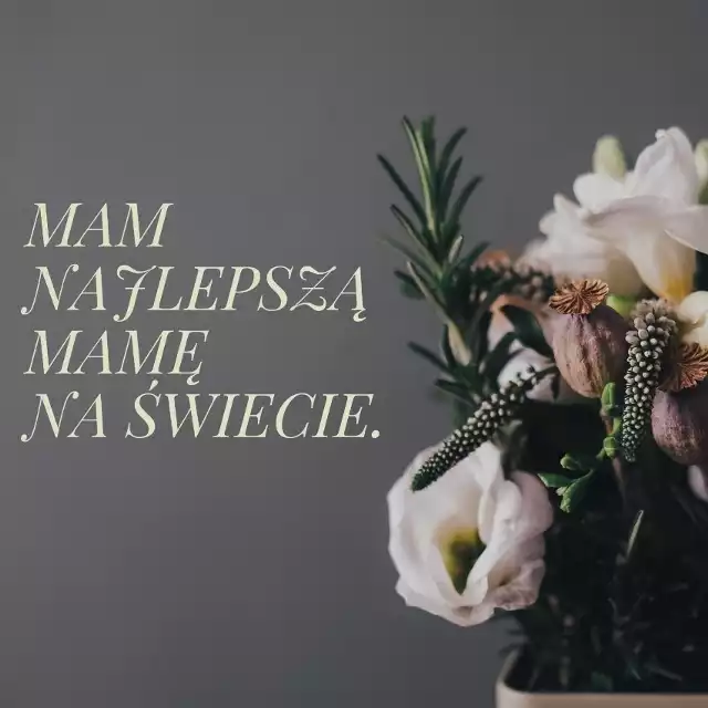 26 maja coraz bliżej! Właśnie tego dnia obchodzimy Dzień Matki. Jeśli zapomnieliście o tym święcie i i nie macie pomysłu na życzenia, śpieszymy Wam z pomocą! Znajdziecie u nas najpiękniejsze życzenia na Dzień Matki. Piękne wierszyki oraz gotowe kartki do wysłania, które wyślesz za pomocą MMS, Messengera czy Whatsappa. Niech Dzień Matki będzie wyjątkowy! Złóż swojej Mamie najpiękniejsze życzenia!