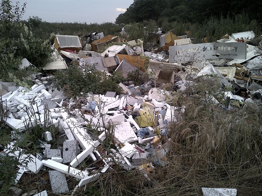 Firma z Międzyrzeca Podl. została przyłapana na wywożeniu śmieci do lasu we Franopolu