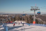 Oto najlepiej oceniane stacje narciarskie w Krynicy Zdroju i regionie. Gdzie na narty na Sądecczyźnie? Zobacz ranking według Google 