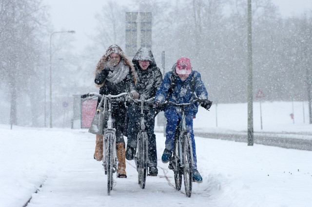 Choć kalendarzowa wiosna jest już na wyciągnięcie ręki, to niestety zima o nas nie zapomina. W najbliższych dniach temperatury w Lubuskiem spadną. Pojawi się śnieg i mróz, a wiatr będzie potęgować uczucie chłodu. "Z każdym dniem będzie coraz chłodniej, a radykalnie pogoda zmieni się od piątku. Znad Morza Barentsa napłynie mroźne arktyczne powietrze. Na północy i północnym wschodzie kraju zacznie padać śnieg, temperatura znacznie obniży się" - informuje IMGW.Jak si okazuje mroźne powietrze dotrze do nas znad Syberii. W nocy temperatury mogą spadać do poniżej -10°C, na pozostałym obszarze kraju mróz będzie trochę lżejszy. W Lubuskiem lokalnie temperatury mogą spaść do nawet -10 stopni Celsjusza. Uczucię chłodu dodatkowo będzie potęgował wiatr. Ujemna temperatura powietrza utrzymywać się będzie także w ciągu dnia, tylko na północnym zachodzie temperatura maksymalna nieznacznie przekroczy 0°C. W całym kraju wystąpią opady śniegu, miejscami, szczególnie na południu, mogą one być intensywne. Pogoda na 16 marca w Lubuskiem:POLECAMY RÓWNIEŻ PAŃSTWA UWADZE:Światowy Dzień Snu 2018. Polacy śpią za mało [RAPORT]Tutaj najszybciej zdasz egzamin na prawo jazdy!