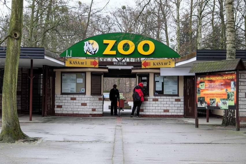 Uwieczniają mieszkańców poznańskiego zoo