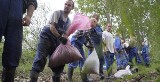 Dobre wieści dla opolskiego Metalchemu 