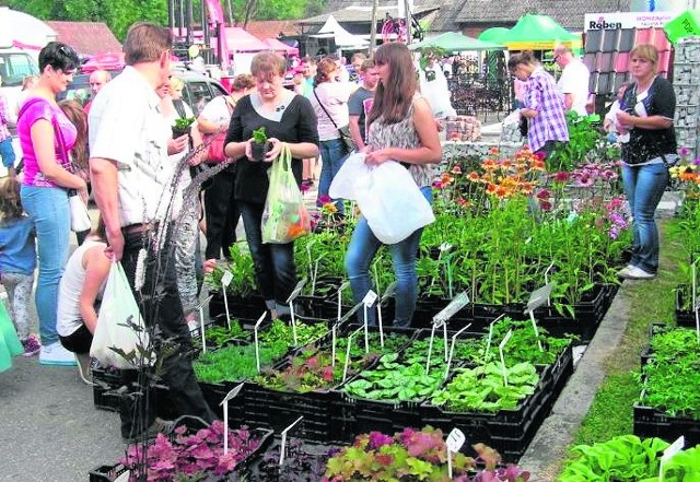 Podczas Agropromocji można nie tylko obejrzeć nowinki techniczne przydatne rolnikom, ale i kupić rośliny oraz nawozy