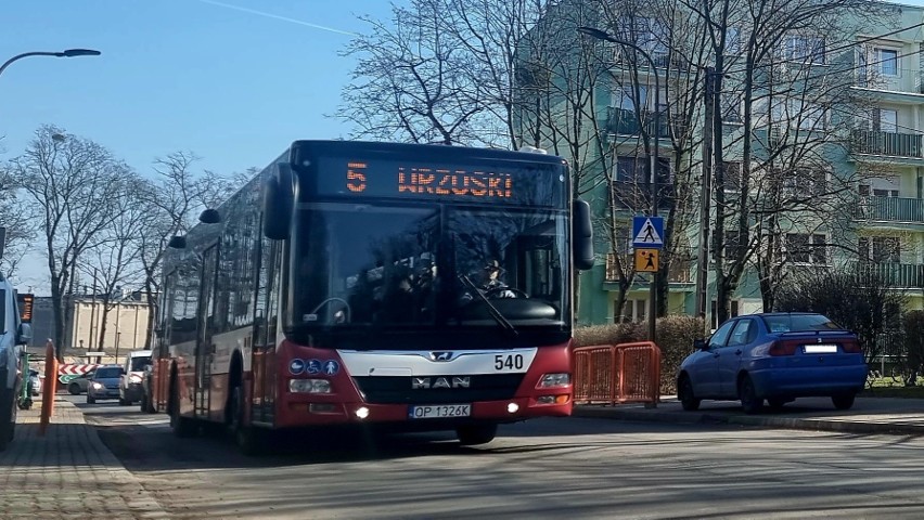 Więcej autobusów miejskich linii 17 pojedzie na działki przy...
