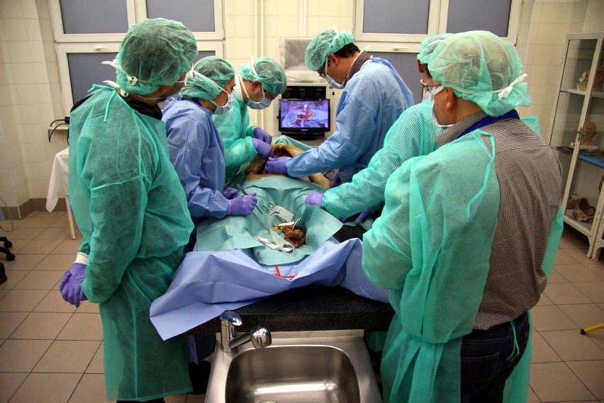 Klinika Chirurgii Onkologicznej w Lublinie. Wycinają raka z żołądkiem (ZDJĘCIA, WIDEO)