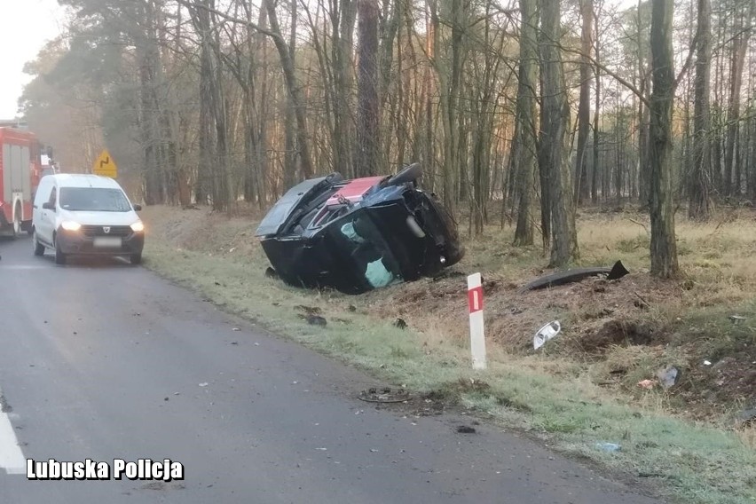 Opady deszczu i niskie temperatury powietrza sprawiają, że...