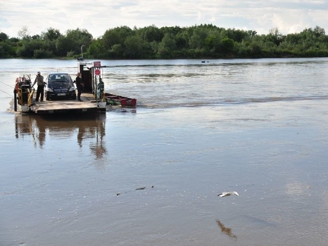 Wody w Wiśle wciąż przybywa. Na zdjęciu przeprawa promowa przez rzekę w Tarnobrzegu.